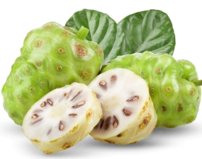 SẢN PHẨM TỪ THẢO DƯỢC